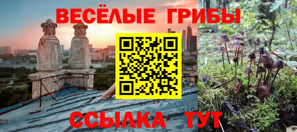 Галлюциногенные грибы ЛСД Усинск